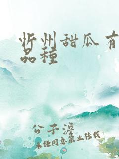 忻州甜瓜有什么品种
