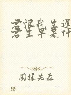 君恨我生迟我恨君生早是什么诗 君恨我生迟我恨君生早是什么诗