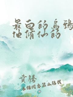 最白的乌鸦谁让他修仙的