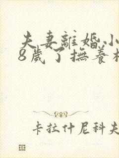 夫妻离婚小孩18岁了抚养权怎么判
