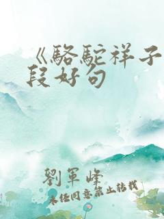 《骆驼祥子》好段好句