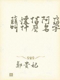薛怀佶阿窈小说叫什么名字