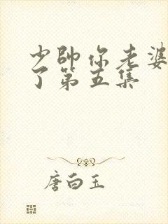 少帅你老婆又跑了第五集