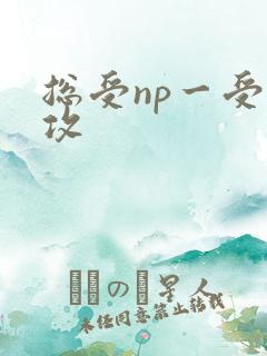 总受np一受多攻