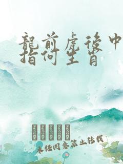龙前虎后中特马指何生肖