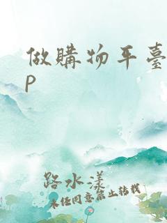 做购物平台app