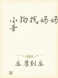 小狗找妈妈的声音