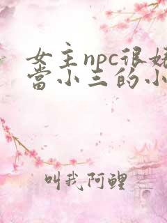 女主npc很婊当小三的小说 女主npc很婊当小三的小说