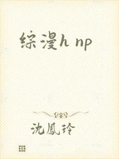 综漫h np