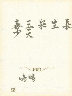 春玉米生长期多少天