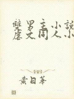 双男主小说推荐虐文同人小说完结