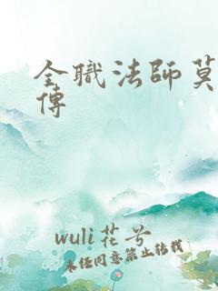 全职法师莫凡后传
