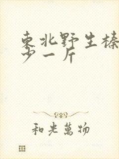 东北野生榛蘑多少一斤