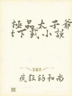 极品太子爷txt下载小说