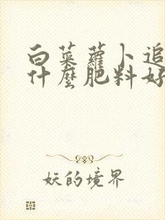 白菜萝卜追肥用什么肥料好