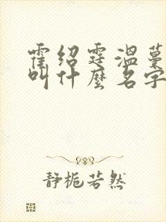 霍绍霆温蔓小说叫什么名字