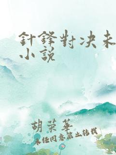 针锋对决未删减小说