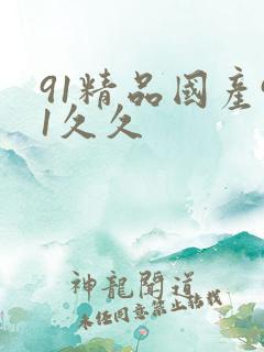 91精品国产91久久