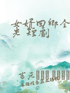 女婿回乡全村风光 短剧