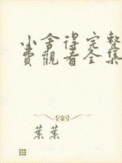 小舍得完整版免费观看全集西瓜
