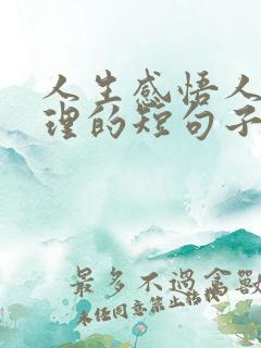 人生感悟人生哲理的短句子