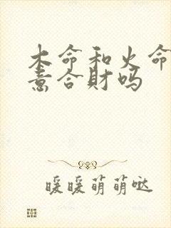 木命和火命做生意合财吗
