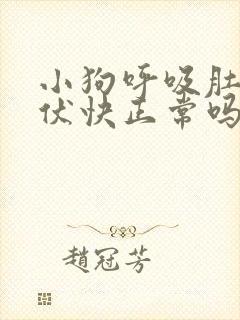 小狗呼吸肚子起伏快正常吗