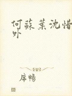 何苏叶沈惜凡番外