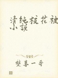 清纯校花被凌辱小说 清纯校花被凌辱小说