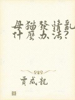 母猫发情乱尿有什么办法?