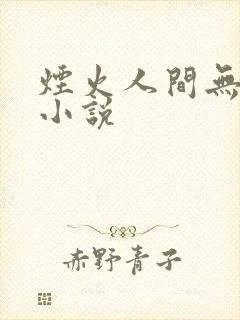 烟火人间无你我小说 烟火人间无你我小说