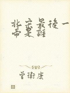 北宋最后一任皇帝是谁