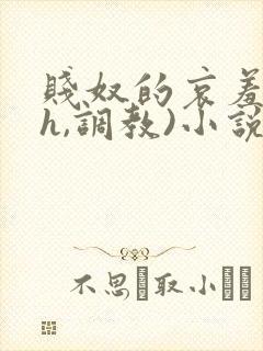 贱奴的哀羞(高h,调教)小说 贱奴的哀羞(高h,调教)小说