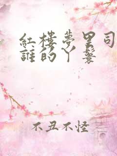 红楼梦里司棋是谁的丫鬟