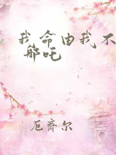 我命由我不由天 哪吒
