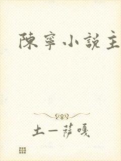 陈宁小说主角