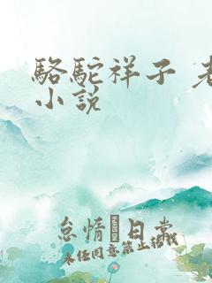 骆驼祥子 老舍小说