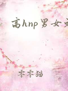 高hnp男女文