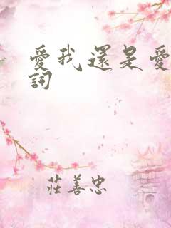 爱我还是爱她歌词