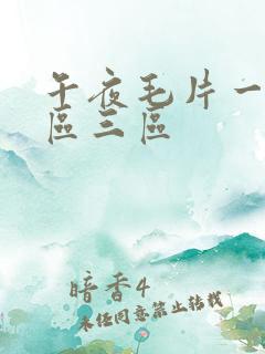 午夜毛片一区二区三区