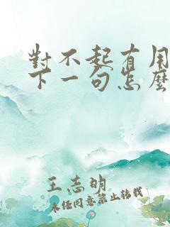 对不起有用的话下一句怎么接