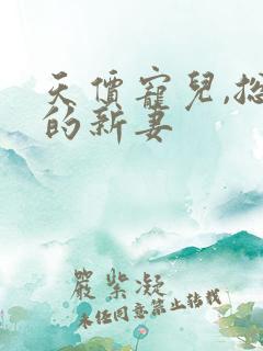 天价宠儿,总裁的新妻