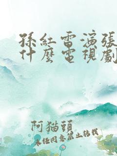 孙红雷演张三是什么电视剧