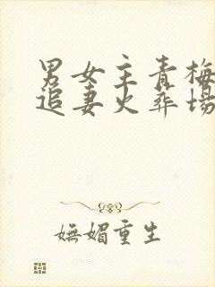男女主青梅竹马追妻火葬场