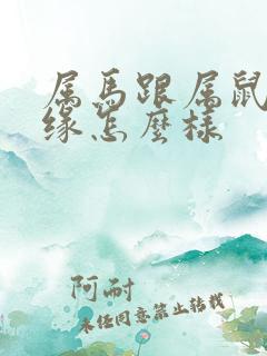属马跟属鼠的姻缘怎么样 属马跟属鼠的姻缘怎么样