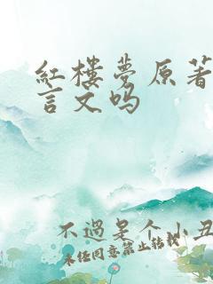 红楼梦原著是文言文吗