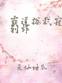 霸道总裁宠文甜到炸