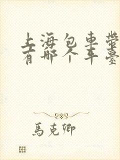 上海包车带司机有哪个平台