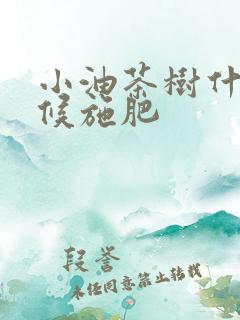 小油茶树什么时候施肥