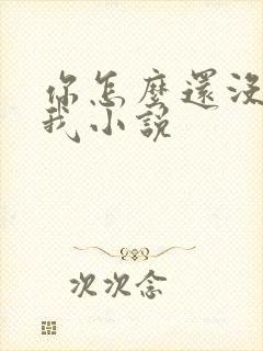 你怎么还没喜欢我小说